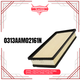 0313AAM02161N