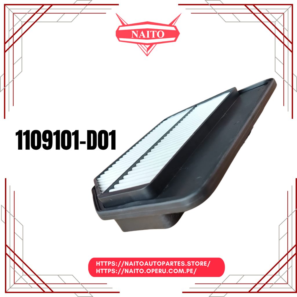 1109101-D01