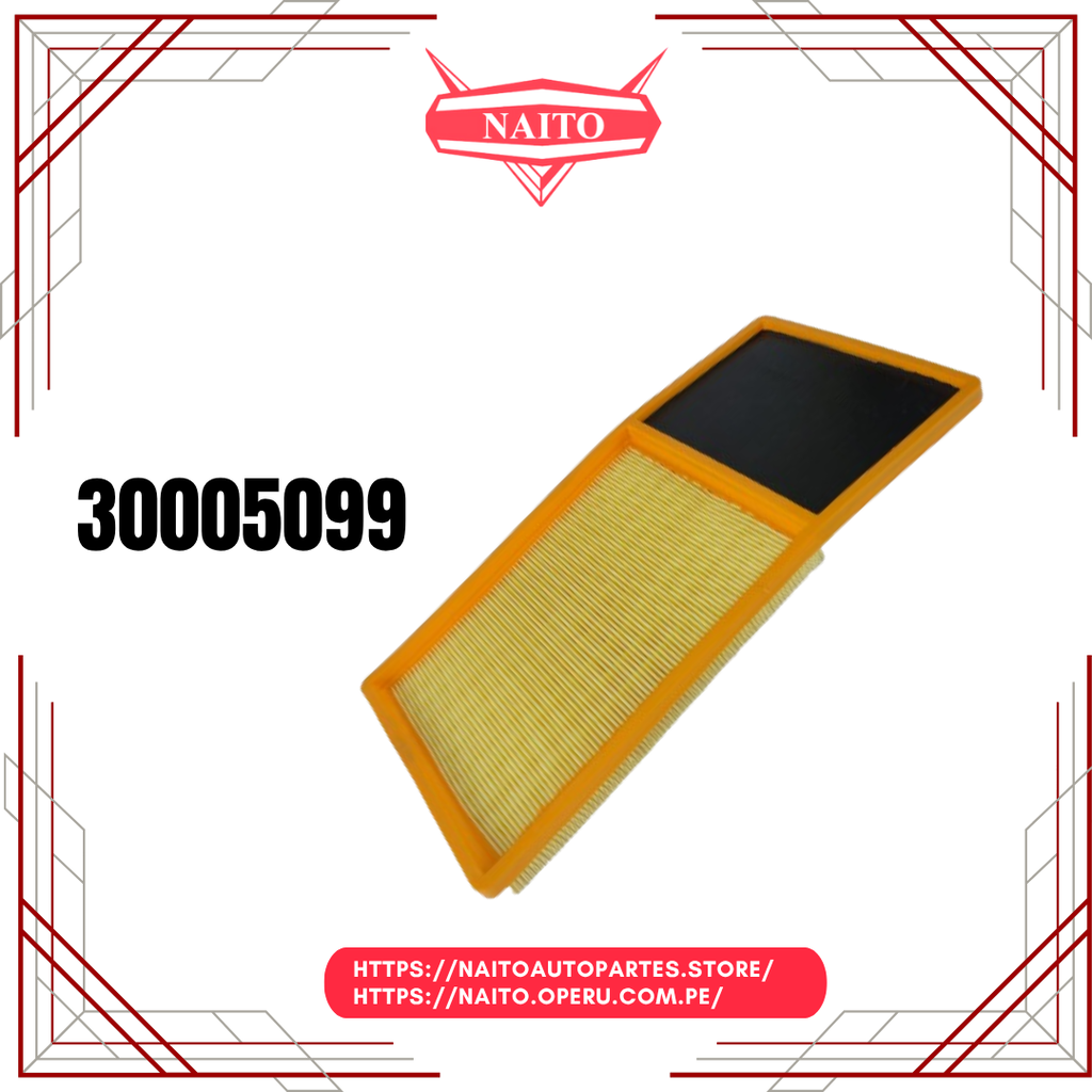 Filtro de Aire 30005099